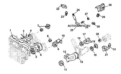 Двигатель / Система охлаждения Audi A8, схема узла
