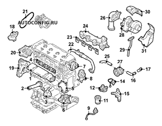 Двигатель / Система охлаждения Toyota Avensis, схема узла