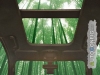 Автомобили Ford в будущем будут делать с применением бамбука